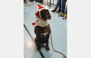 Soirée de Noël