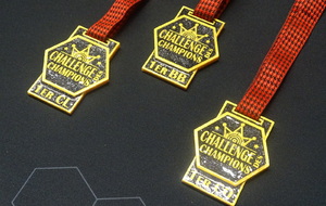 Challenge des Champions : quand le loisir devient grand jeu