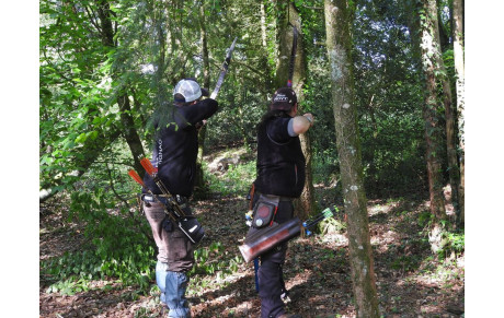 Clin d'oeil à nos archers sur les parcours