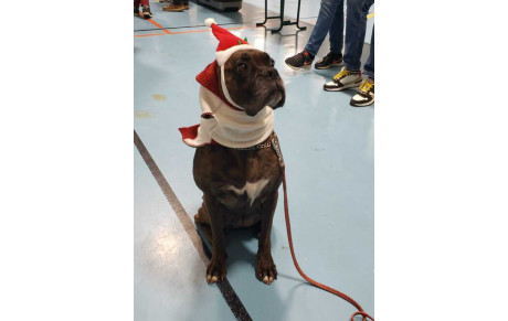 Soirée de Noël